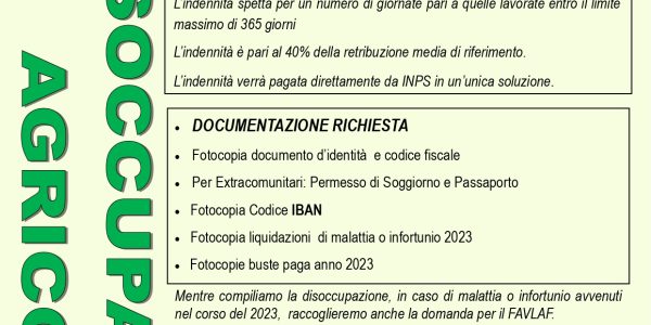 volantino ds 2023_page-0001